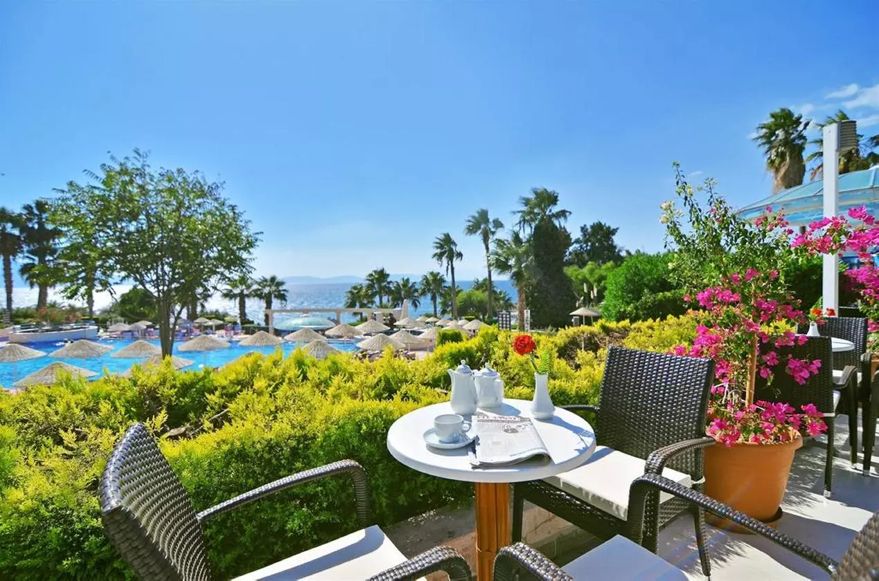 BLUESKY_SHABAVIZ (21).jpg